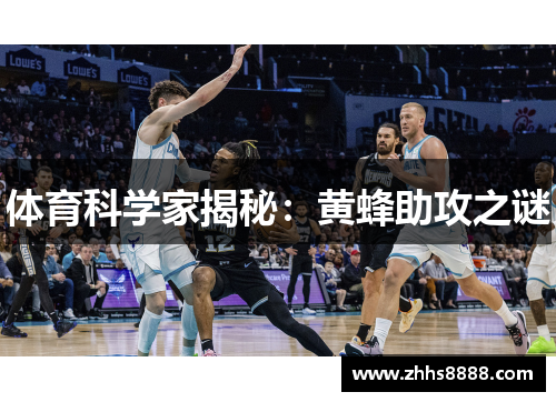 体育科学家揭秘：黄蜂助攻之谜